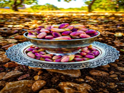 Şanlıurfa Olmadan Sanayi Durma Noktasında: Fıstıkta İthalat Kapısı Açıldı